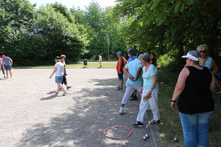 Alla vill till skuggan! 